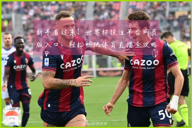 新手看过来！世界杯投注平台网页版入口，轻松畅玩体育直播全攻略