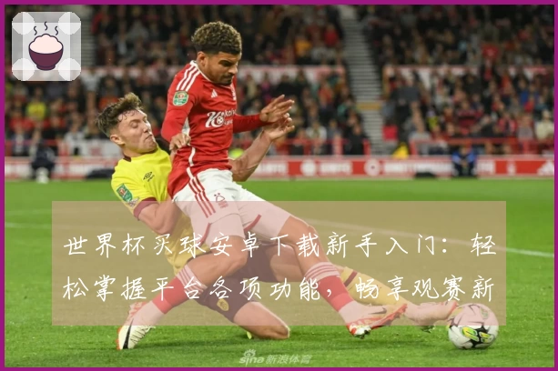 世界杯买球安卓下载新手入门：轻松掌握平台各项功能，畅享观赛新体验