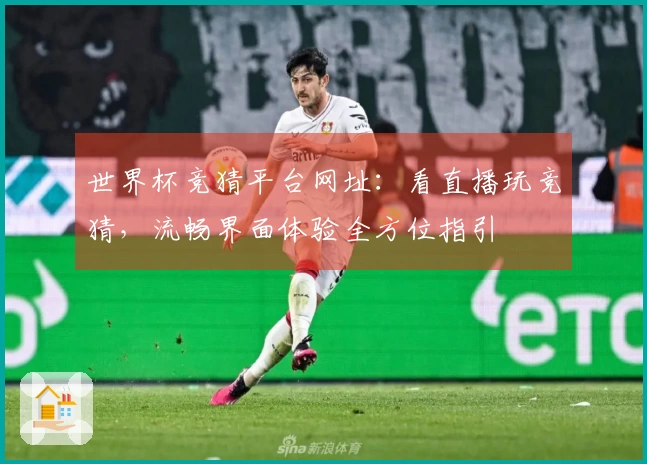 世界杯竞猜平台网址：看直播玩竞猜，流畅界面体验全方位指引