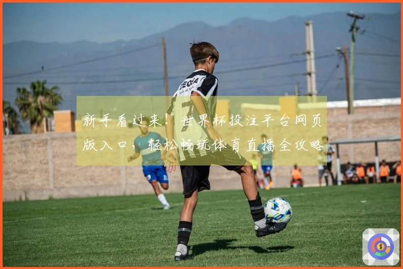 新手看过来！世界杯投注平台网页版入口，轻松畅玩体育直播全攻略
