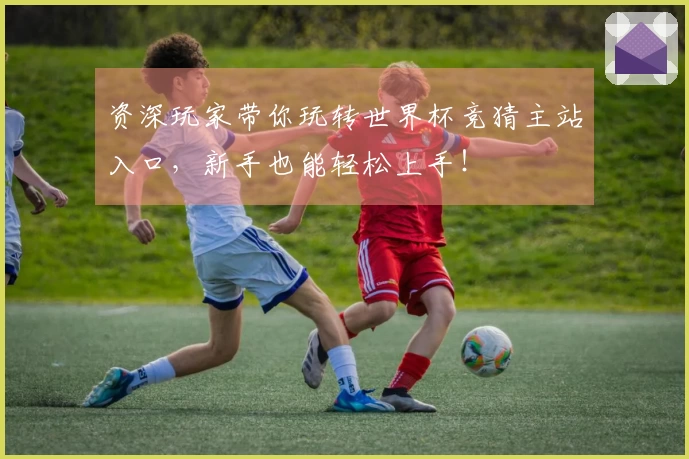 资深玩家带你玩转世界杯竞猜主站入口，新手也能轻松上手！