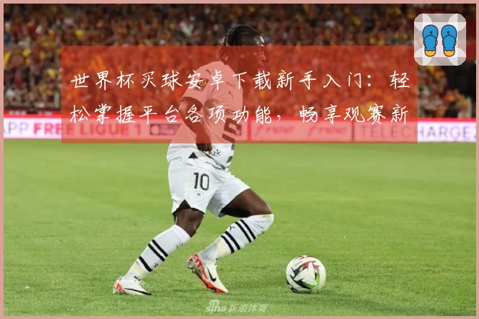 世界杯买球安卓下载新手入门：轻松掌握平台各项功能，畅享观赛新体验